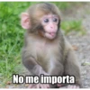 No me importa