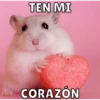 Hamsters 5