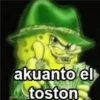 BOB CHOLO 5