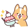 Corgi summer 9