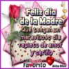 Día de la Madre 4 Movi 8