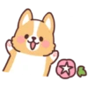 Corgi summer 10