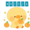 BRISIA