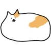 Fluffy kitty cat 6
