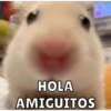 Hamsters 6