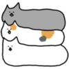 Fluffy kitty cat 8