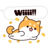 Shiba dogs 9