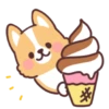 Corgi summer 12
