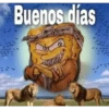 BOB CHOLO 7