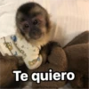 Te quiero
