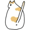 Fluffy kitty cat 9
