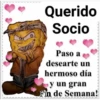 BOB CHOLO 10