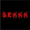 SE学棒棒