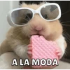 Hamsters 7