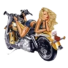 Bikers Girls 2 10