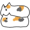 Fluffy kitty cat 13