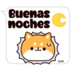 Shiba dogs 11