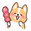 Corgi summer 13
