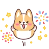 Corgi summer 14