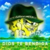 BOB CHOLO 11