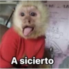 MEZAR
A sicierto