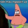 tadi mau ngapain ya 80