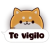 Shiba dogs 15