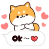 Shiba dogs 16