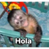 Hola