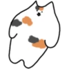 Fluffy kitty cat 17