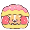 Corgi desserts 18