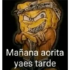 BOB CHOLO 14