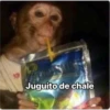 Juguito de chale