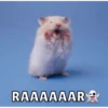 Hamsters 10