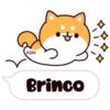 Shiba dogs 18