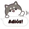 Shiba dogs 19