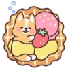 Corgi desserts 19