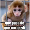 Que pasa de
que me perdi