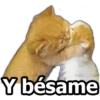 Y bésame