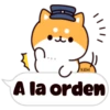 Shiba dogs 21