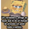 BOB CHOLO 15