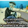 BOB CHOLO 17