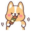 Corgi summer 21