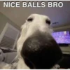 NICE BALLS BRO **
