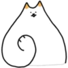Fluffy kitty cat 22