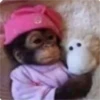 Que monito 22