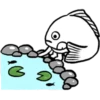 Fish Jai 20