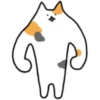 Fluffy kitty cat 25