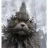 De todo un poco 19