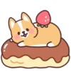 Corgi desserts 25